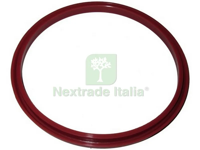 Guarnizione x Insaccatrice — Guarnizioni e tenute — rif. FERX.VIT45942