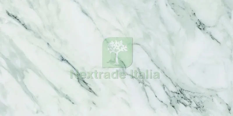 LASTRA DECORATIVA SERIGRAFATA cm. 50x100 - Effetto Marmo Perla — Isolanti e reti — rif. FERX.VIT58576 — foto 2
