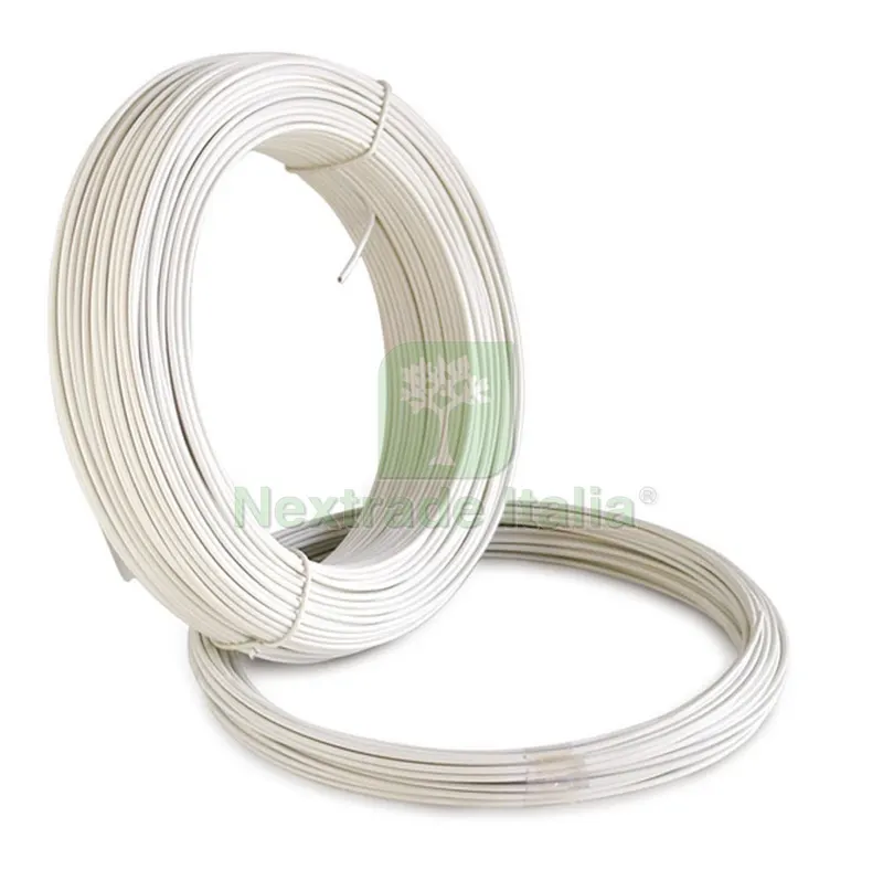 10RT Cavetto Stendibiancheria Zincato Plastificato Ø mm. 2,7 - mt. 20 — Stendibiancheria e bucato — rif. FERX.VIT25608 10RT Cavetto Stendibiancheria Zincato Plastificato Ø mm. 2,7 - mt. 20 — Stendibiancheria e bucato — rif. FERX.VIT25608