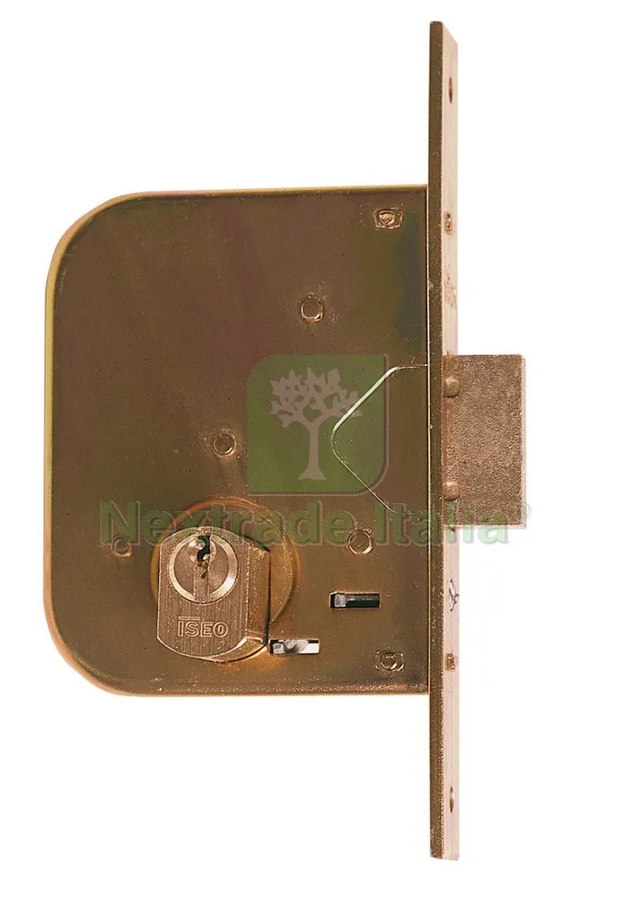 2PZ Serratura Ferro Infilare 2M+S ART. 601 E.45 - F. 22 — Serrature e cilindri — rif. FERX.VIT2292