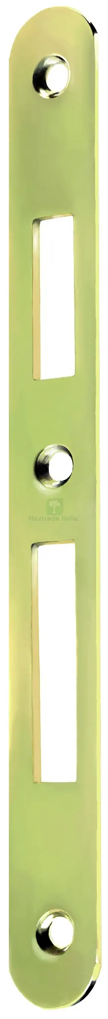CONTROPIASTRA B/TONDO Art. G200 mm.190x20 ottonato lucido (per serratura art. 290) — Serrature e cilindri — rif. FERX.VIT57663