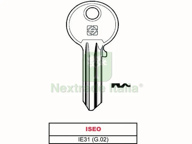 20PZ Chiave ASC IE31 (G.VAC 2) Iseo — Serrature e cilindri — rif. FERX.VIT41134