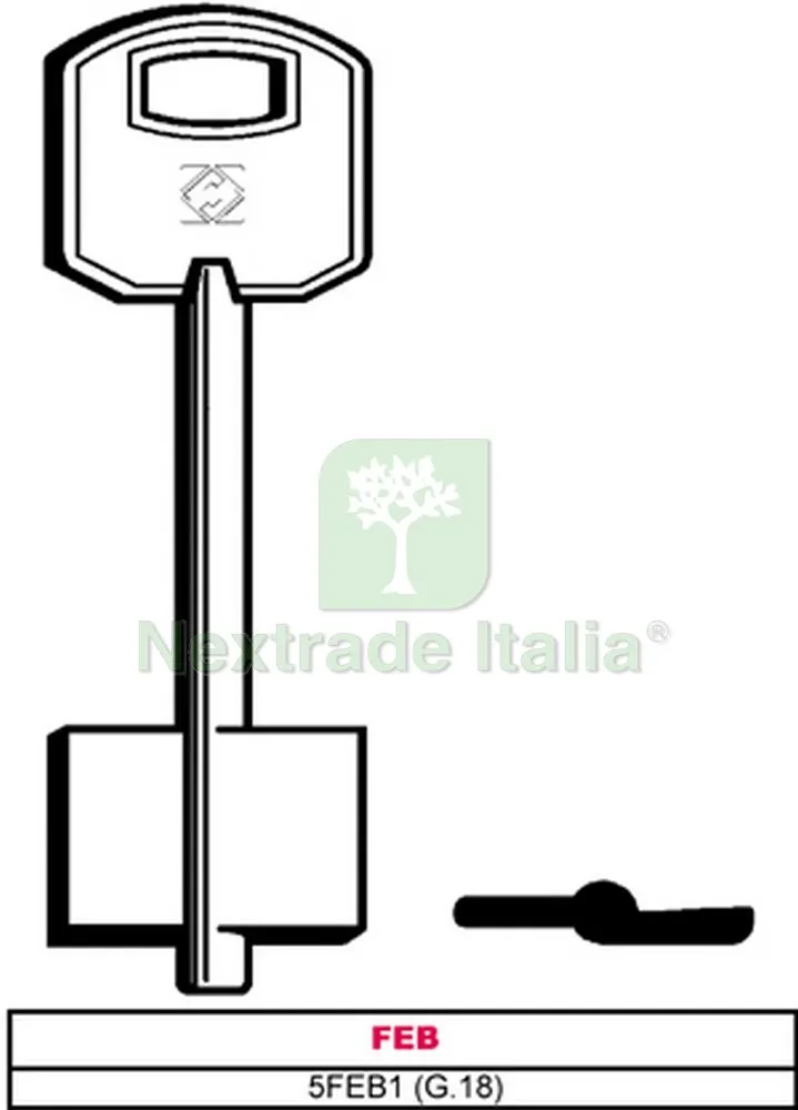 5PZ CHIAVE A DOPPIA MAPPA 5FEB1 (G.VAS 5) FEB — Chiavi grezze e duplicati — rif. FERX.VIT6282 5PZ CHIAVE A DOPPIA MAPPA 5FEB1 (G.VAS 5) FEB — Chiavi grezze e duplicati — rif. FERX.VIT6282