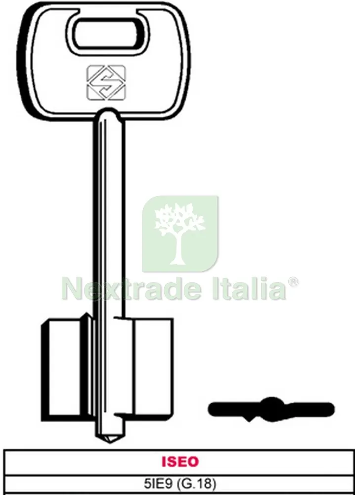 25PZ CHIAVE A DOPPIA MAPPA 5IE9 (G.VAS 5) ISEO — Chiavi grezze e duplicati — rif. FERX.VIT10632