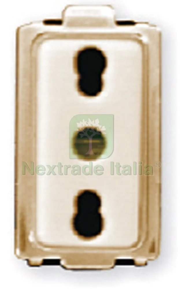 20PZ Presa di Sicurezza 2P+T 10/16A Bipasso — Illuminazione — rif. FERX.VIT23516