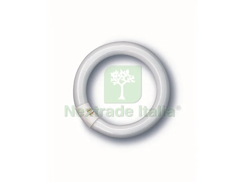12PZ Neon Fluorescente Lumilux Circolare G10q-Luce naturale 32W-2250 lumen-cm.31 — Illuminazione — rif. FERX.VIT41709 12PZ Neon Fluorescente Lumilux Circolare G10q-Luce naturale 32W-2250 lumen-cm.31 — Illuminazione — rif. FERX.VIT41709