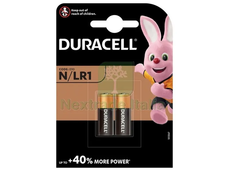 10CF PILA ALCALINA SECURITY MN9100 2 PZ. — Pile e batterie — rif. FERX.VIT51664