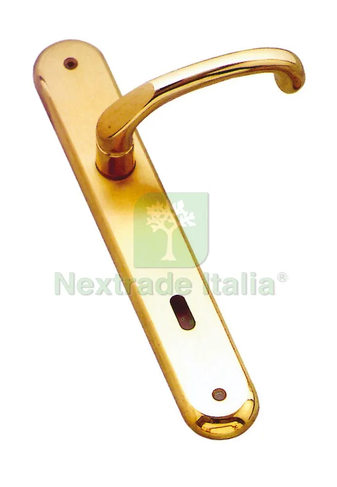 Maniglia Giada con Placca foro Yale — Maniglie e pomelli — rif. FERX.VIT11055 Maniglia Giada con Placca foro Yale — Maniglie e pomelli — rif. FERX.VIT11055