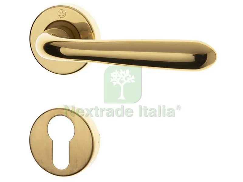 Maniglia GM05 con Rosetta Yale Zgctol — Maniglie e pomelli — rif. FERX.VIT54679 Maniglia GM05 con Rosetta Yale Zgctol — Maniglie e pomelli — rif. FERX.VIT54679