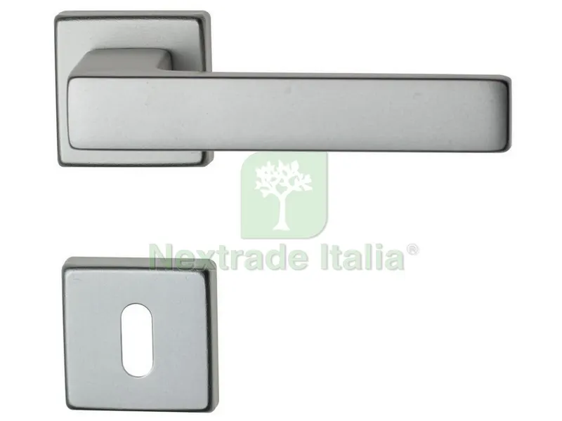 Maniglia Carlo con Rosetta Patent Alluminio Anodizzato Argento — Maniglie e pomelli — rif. FERX.VIT54889