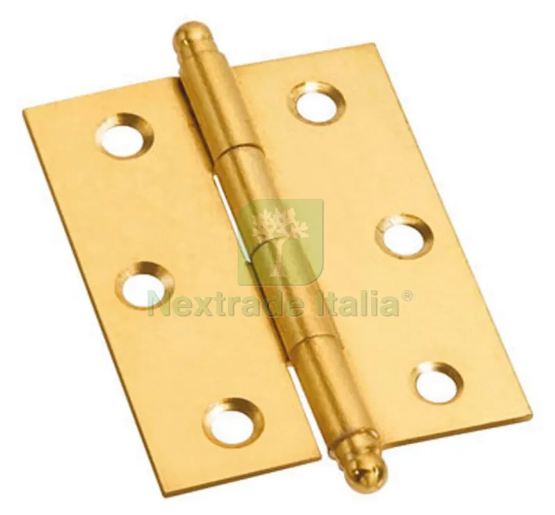 50PZ Cerniera con Perno Sfilabile in ferro ottonato mm. 30x30 — Cerniere e cardini — rif. FERX.VIT8092 50PZ Cerniera con Perno Sfilabile in ferro ottonato mm. 30x30 — Cerniere e cardini — rif. FERX.VIT8092