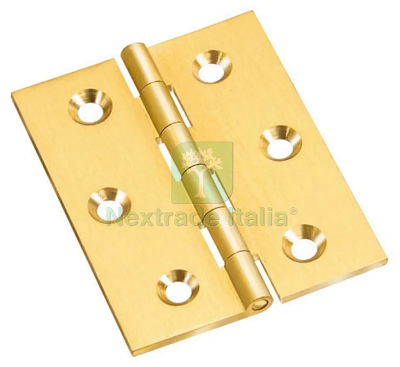 24PZ CERNIERA PIANA mm. 40x30 — Cerniere e cardini — rif. FERX.VIT41161