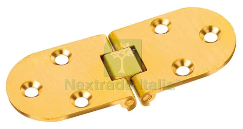 24PZ CERNIERA A BISCOTTO con fermo mm. 30x80 — Cerniere e cardini — rif. FERX.VIT13122
