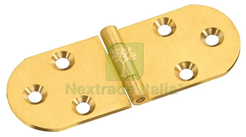 24PZ CERNIERA A BISCOTTO senza fermo mm. 30x80 — Cerniere e cardini — rif. FERX.VIT15684