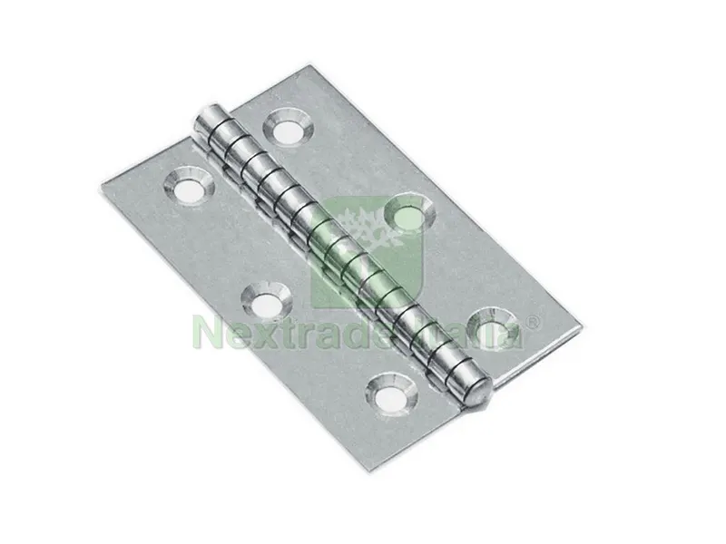 25PZ Cerniera Perno Fisso Inox Piana mm.60x50 — Cerniere e cardini — rif. FERX.VIT45445