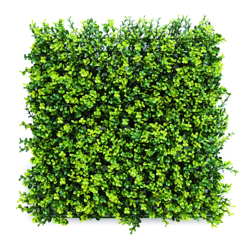 SIEPE ARTIFICIALE DA PARETE MOD. BOSSO cm. 50x50 — Arelle e frangivista — rif. FERX.VIT55275 SIEPE ARTIFICIALE DA PARETE MOD. BOSSO cm. 50x50 — Arelle e frangivista — rif. FERX.VIT55275
