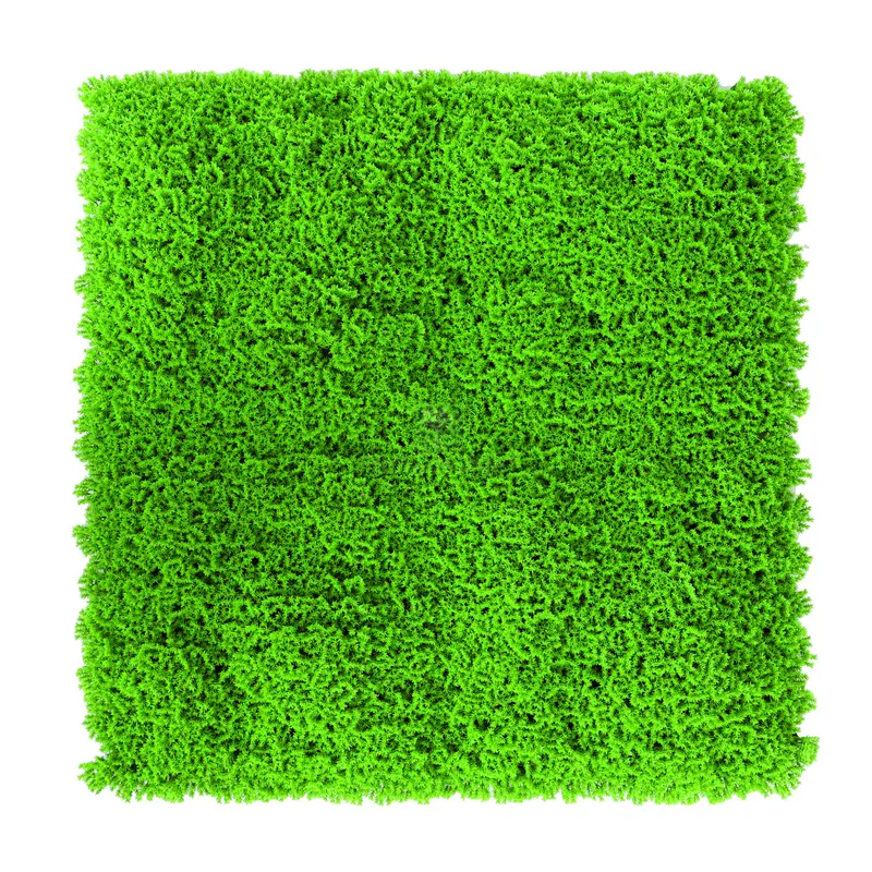 Siepe Artificiale da Parete MOD. Muschio cm. 50x50 — Arelle e frangivista — rif. FERX.VIT55305 Siepe Artificiale da Parete MOD. Muschio cm. 50x50 — Arelle e frangivista — rif. FERX.VIT55305