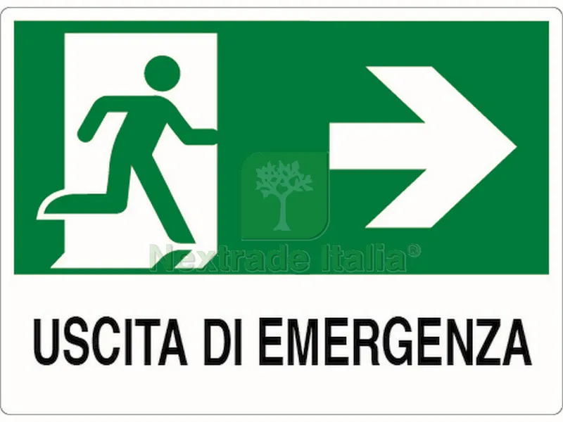 10PZ Cartello Segnaletico Uscita di Emergenza Destra cm. 30x20 — Utensili e segnaletica — rif. FERX.VIT19055