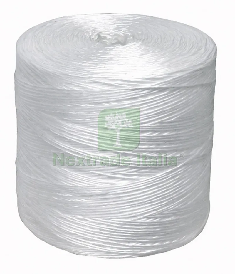 6PZ SPAGO POLIPROPILENE tit.1,1000 (kg. 2 circa) — Pile e batterie — rif. FERX.VIT17105 6PZ SPAGO POLIPROPILENE tit.1,1000 (kg. 2 circa) — Pile e batterie — rif. FERX.VIT17105