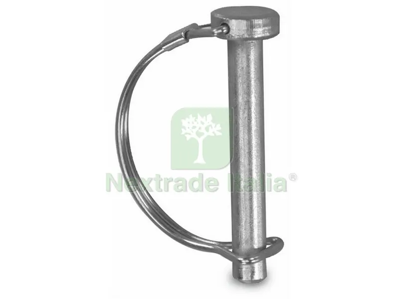 25PZ SPINOTTO PER MOTOZAPPA mm.7x56 — Attrezzi da giardino a motore — rif. FERX.VIT44248 25PZ SPINOTTO PER MOTOZAPPA mm.7x56 — Attrezzi da giardino a motore — rif. FERX.VIT44248