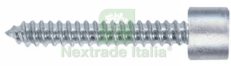 200CT Vite Autofilettante Zincata TC con Esagono Incassato mm. 4,8x50 — Viti — rif. FERX.VIT16488 200CT Vite Autofilettante Zincata TC con Esagono Incassato mm. 4,8x50 — Viti — rif. FERX.VIT16488