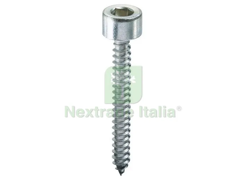 500CT VITE AUTOFILETTANTE TC CON ESAGONO INCASSATO mm. 5,5x25 — Viti — rif. FERX.VIT42861 500CT VITE AUTOFILETTANTE TC CON ESAGONO INCASSATO mm. 5,5x25 — Viti — rif. FERX.VIT42861