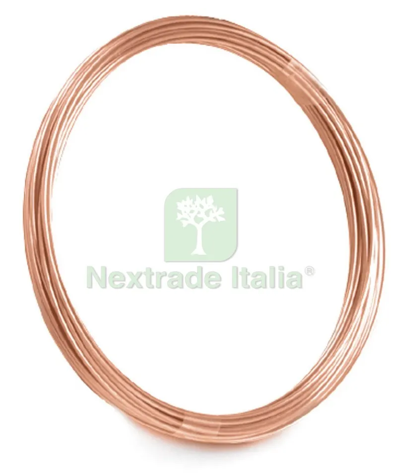 20PZ FILO DI RAME COTTO Ø filo mm.1,0 mt.7 — Ferramenta per legno e mobili — rif. FERX.VIT24766 20PZ FILO DI RAME COTTO Ø filo mm.1,0 mt.7 — Ferramenta per legno e mobili — rif. FERX.VIT24766