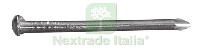 Chiodo in Acciaio Testa Bombata mm. 2x20 KG 1 — Chiodi e graffe — rif. FERX.VIT6221