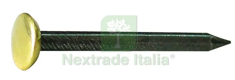 10CF Chiodo in Acciaio con Testa in Ottone PZ.100 mm. 2x30 — Chiodi e graffe — rif. FERX.VIT38007 10CF Chiodo in Acciaio con Testa in Ottone PZ.100 mm. 2x30 — Chiodi e graffe — rif. FERX.VIT38007
