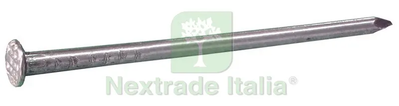 Chiodo a Testa Piana mm.21x120 (5x120) — Chiodi e graffe — rif. FERX.VIT20039