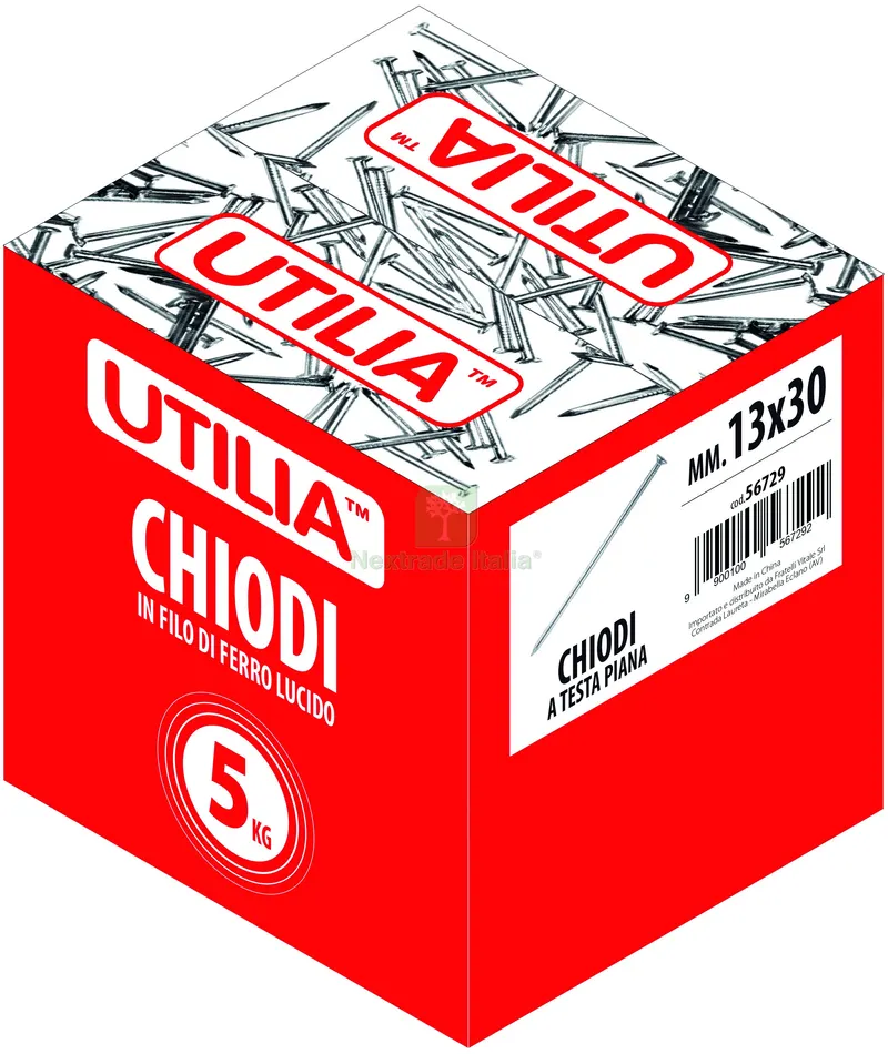5KG CHIODO A TESTA PIANA mis. 16x60 mm. KG 5 — Chiodi e graffe — rif. FERX.VIT56732 — foto 2