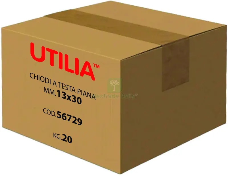 5KG CHIODO A TESTA PIANA mis. 16x60 mm. KG 5 — Chiodi e graffe — rif. FERX.VIT56732 — foto 3