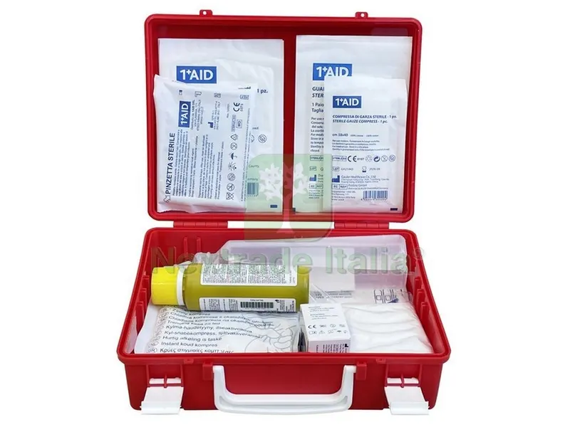 VALIGETTA PRONTO SOCCORSO IN POLIPROPILENE cm. 25x9x19 h col. rosso - ALLE — Pile e batterie — rif. FERX.VIT49659 VALIGETTA PRONTO SOCCORSO IN POLIPROPILENE cm. 25x9x19 h col. rosso - ALLE — Pile e batterie — rif. FERX.VIT49659