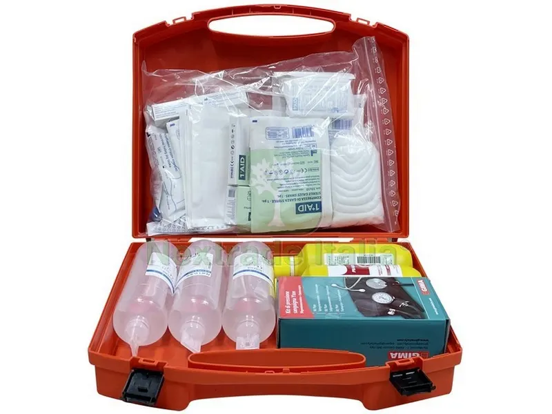 Valigetta Pronto Soccorso in Polipropilene cm. 44x12x34 h col. Arancio - ALLEG.1 — Pile e batterie — rif. FERX.VIT50710 Valigetta Pronto Soccorso in Polipropilene cm. 44x12x34 h col. Arancio - ALLEG.1 — Pile e batterie — rif. FERX.VIT50710