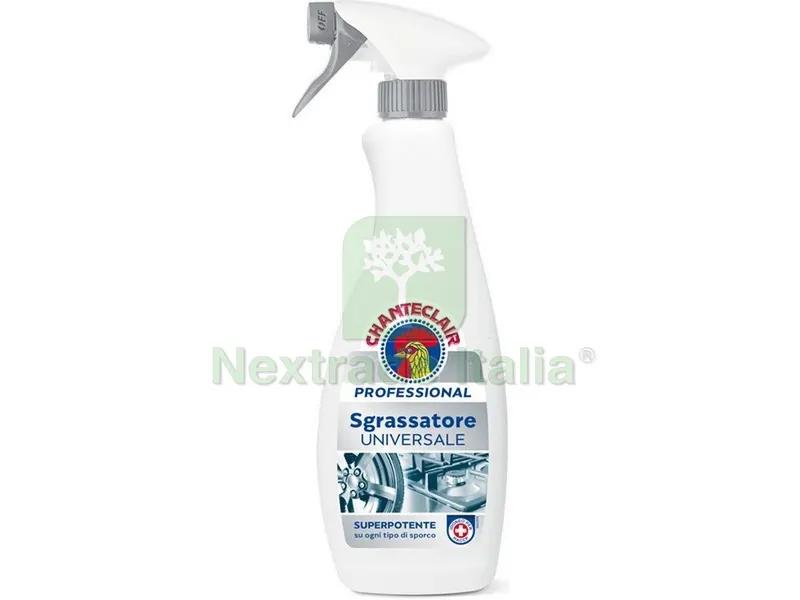 8PZ Professional SGRASSATORE UNIVERSALE ml. 700 — Sgrassanti e detergenti pittura — rif. FERX.VIT54581