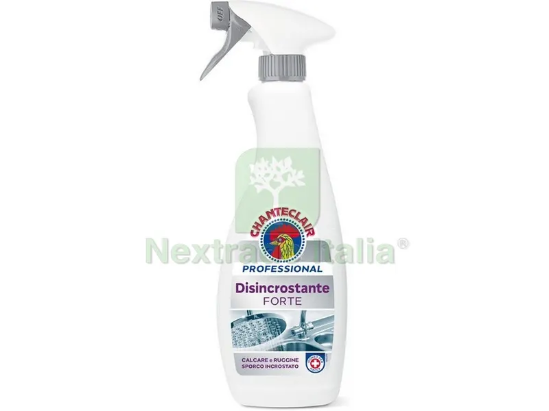 8PZ Professional DISINCROSTANTE FORTE ml. 700 — Detergenti e pulitori casa — rif. FERX.VIT54584
