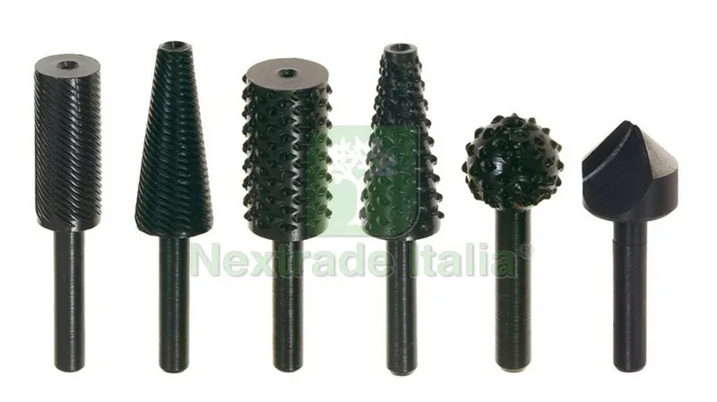 SET FRESE E RASPE ASSORTITE 6 PZ. Art. 447.00 — Punte, frese e dischi — rif. FERX.VIT11105 SET FRESE E RASPE ASSORTITE 6 PZ. Art. 447.00 — Punte, frese e dischi — rif. FERX.VIT11105