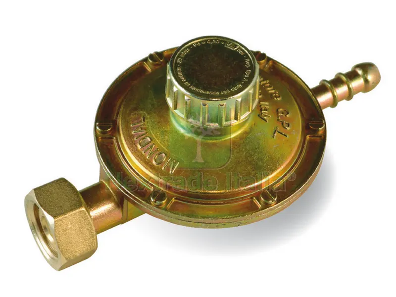 REGOLATORE GAS A TARATURA VARIABILE portata 1 kg/h — Pompe — rif. FERX.VIT4310 REGOLATORE GAS A TARATURA VARIABILE portata 1 kg/h — Pompe — rif. FERX.VIT4310