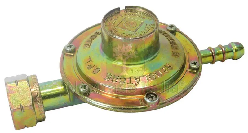 Regolatore GAS a Taratura Fissa portata 1 kg/h — Pompe — rif. FERX.VIT26042 Regolatore GAS a Taratura Fissa portata 1 kg/h — Pompe — rif. FERX.VIT26042