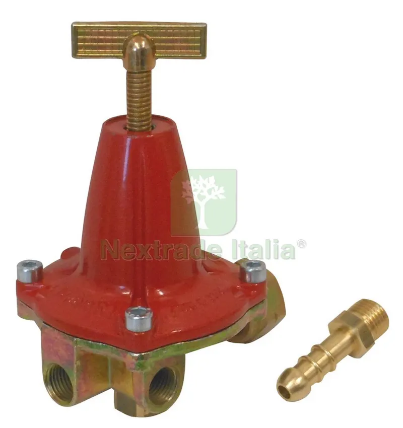 REGOLATORE GAS ALTA PRESSIONE portata 12-14 kg/h — Pompe — rif. FERX.VIT31234 REGOLATORE GAS ALTA PRESSIONE portata 12-14 kg/h — Pompe — rif. FERX.VIT31234
