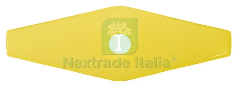DISCO IN NYLON A 2 DENTI PER DECESPUGLIATORE Ø mm. 250 — Attrezzi da giardino a motore — rif. FERX.VIT13436
