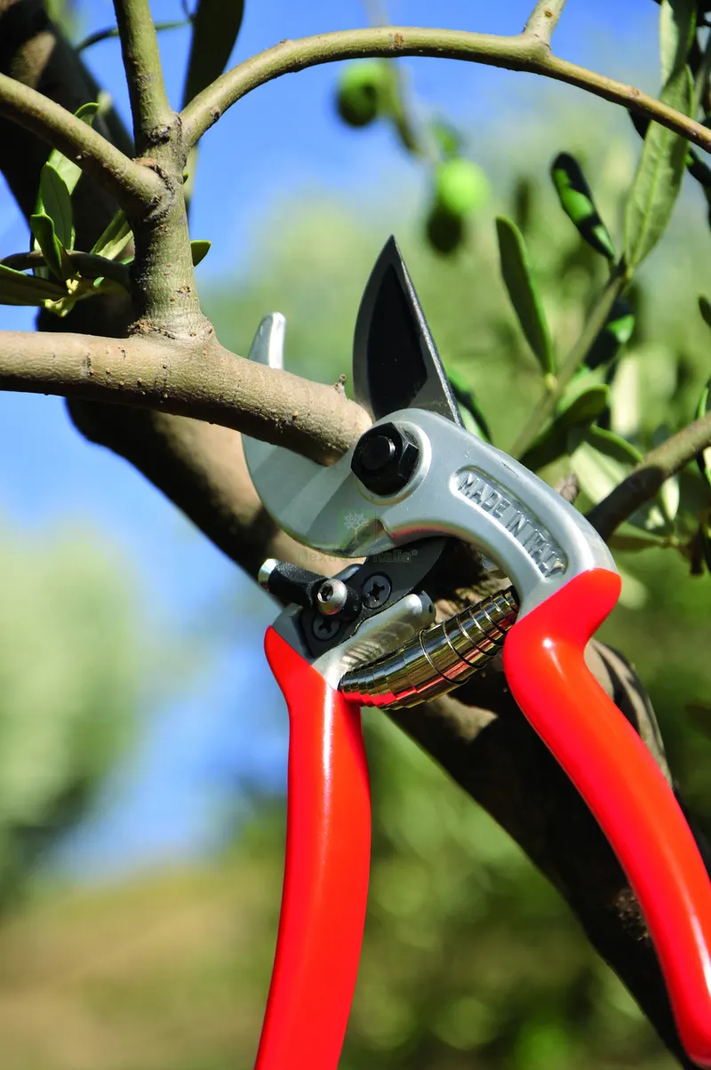 Forbici per Potatura Ergonomic Lame Curve cm. 21 — Attrezzi da giardino — rif. FERX.VIT56641 — foto 2