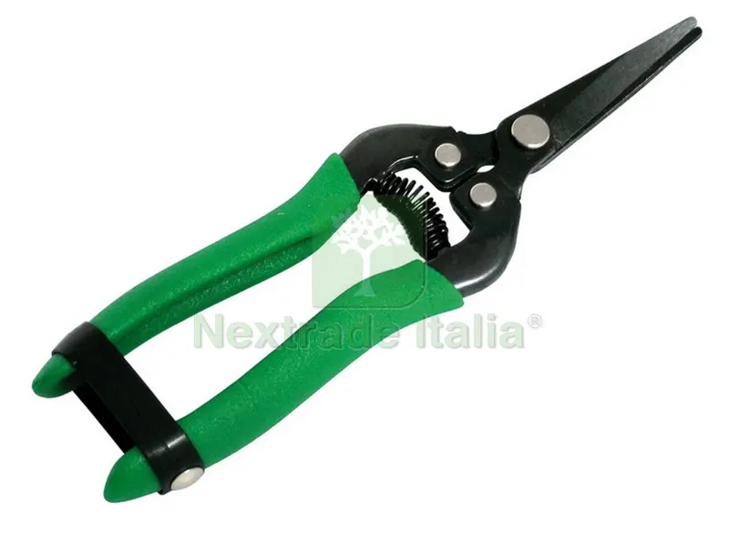 12PZ FORBICI COGLIAGRUMI cm. 19 — Misurazione e taglio manuale — rif. FERX.VIT23233 12PZ FORBICI COGLIAGRUMI cm. 19 — Misurazione e taglio manuale — rif. FERX.VIT23233