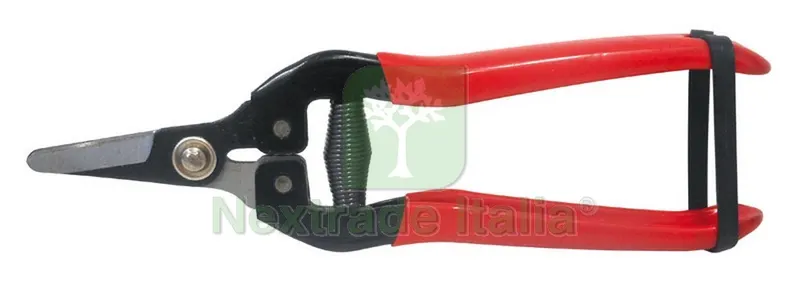 10PZ FORBICI COGLIUVA LAMA CURVA cm. 16 — Misurazione e taglio manuale — rif. FERX.VIT31198