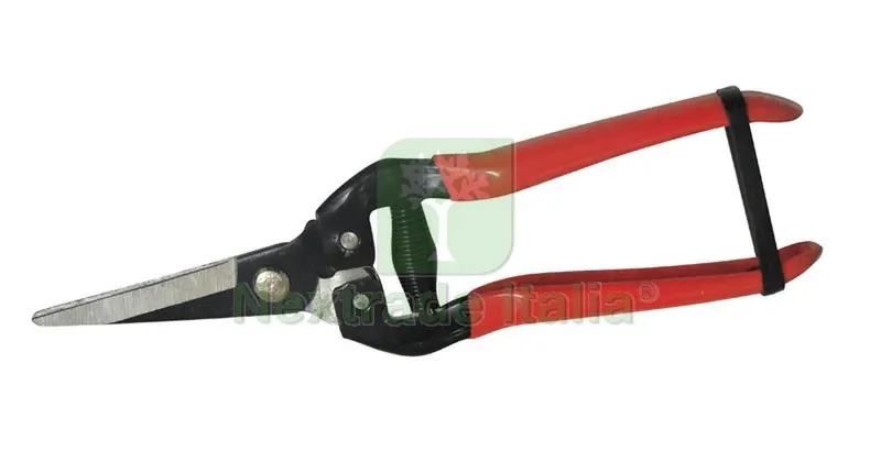 10PZ FORBICI COGLIUVA LAMA DRITTA cm. 19 — Misurazione e taglio manuale — rif. FERX.VIT31212 10PZ FORBICI COGLIUVA LAMA DRITTA cm. 19 — Misurazione e taglio manuale — rif. FERX.VIT31212