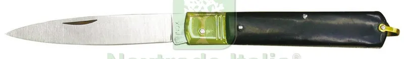 6PZ COLTELLO DA TASCA SFILATO cm. 15 — Cucina e coltelleria — rif. FERX.VIT30520 6PZ COLTELLO DA TASCA SFILATO cm. 15 — Cucina e coltelleria — rif. FERX.VIT30520