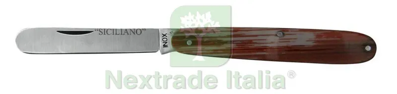 6PZ COLTELLO DA TASCA RASOLINO cm. 17 — Cucina e coltelleria — rif. FERX.VIT30521