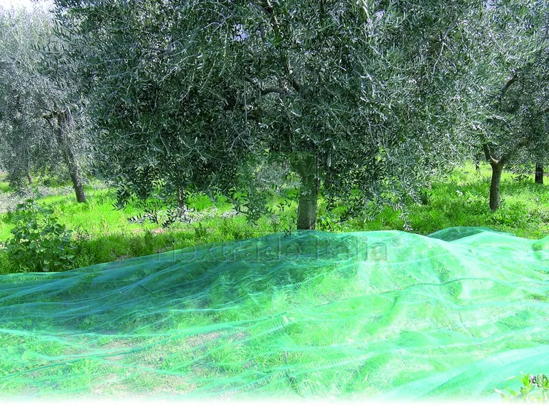 RETE PER OLIVE ANTISPINE rotolo mt. 4x100 — Teli, sacchi e reti agricole — rif. FERX.VIT24784 RETE PER OLIVE ANTISPINE rotolo mt. 4x100 — Teli, sacchi e reti agricole — rif. FERX.VIT24784