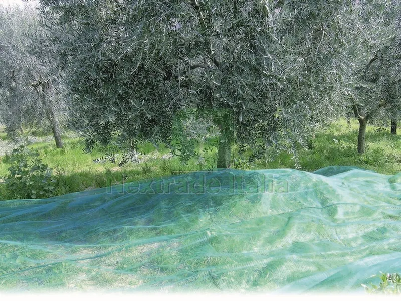 Rete per Olive Tipo Calabrese (gr/mq 32) rotolo mt. 5x200 — Teli, sacchi e reti agricole — rif. FERX.VIT44658 Rete per Olive Tipo Calabrese (gr/mq 32) rotolo mt. 5x200 — Teli, sacchi e reti agricole — rif. FERX.VIT44658