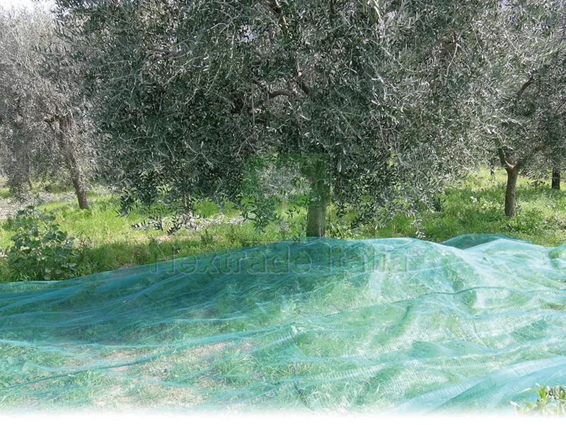 RETE PER OLIVE ANTISPINE mt. 8x12 (100 G/M) — Teli, sacchi e reti agricole — rif. FERX.VIT52228 RETE PER OLIVE ANTISPINE mt. 8x12 (100 G/M) — Teli, sacchi e reti agricole — rif. FERX.VIT52228